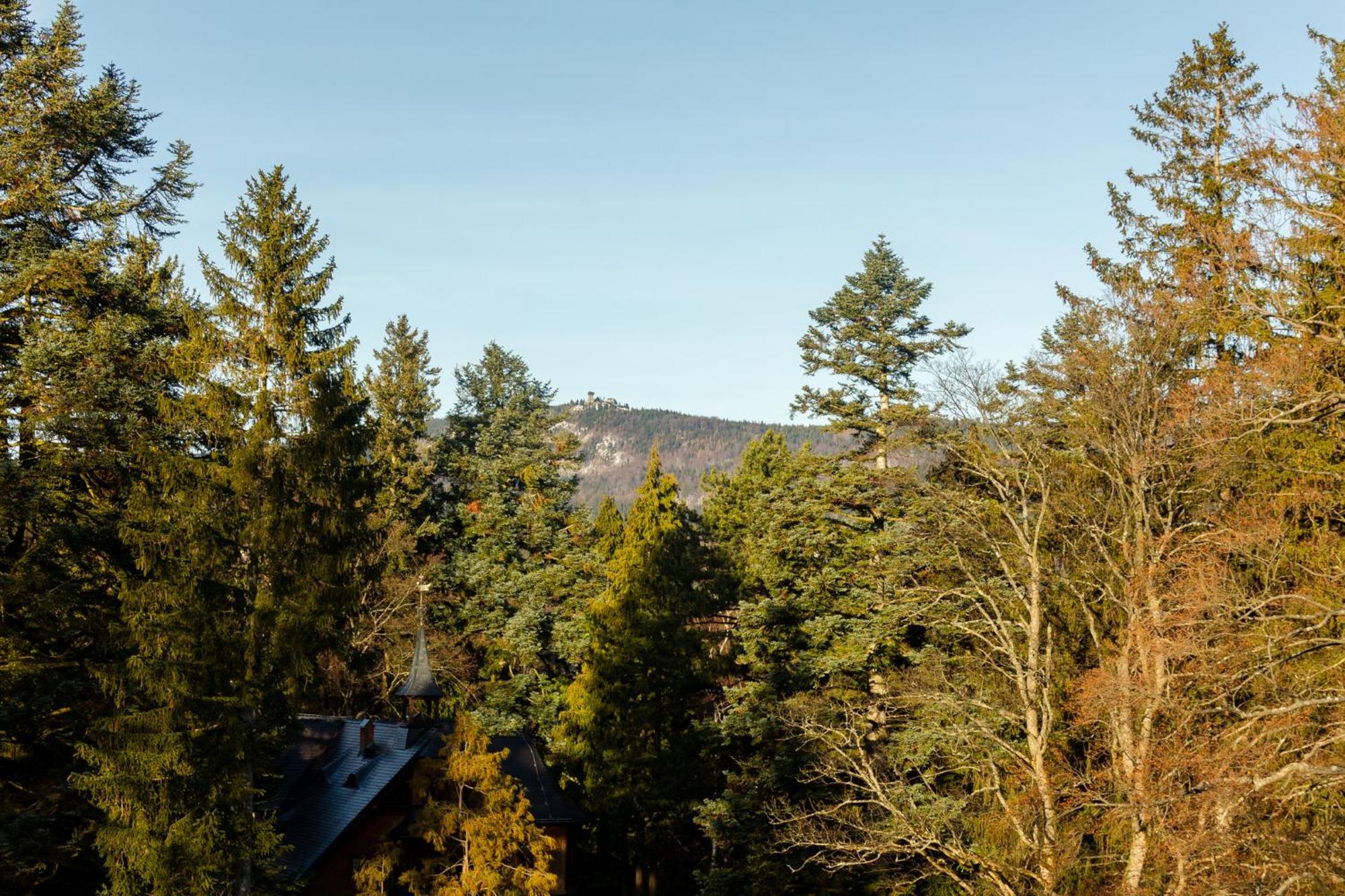 Rentplanet - Apartamenty Kilinskiego Szklarska Poręba Exteriör bild